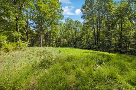 99 Acre Dream Property in Leipers Fork Tennessee Community - image 30