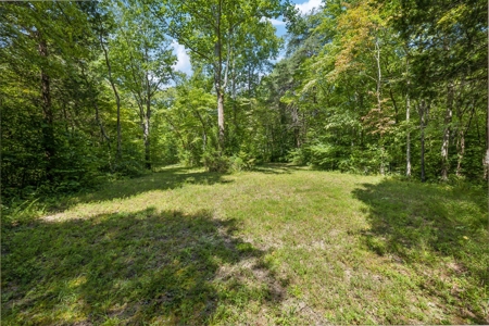 99 Acre Dream Property in Leipers Fork Tennessee Community - image 32