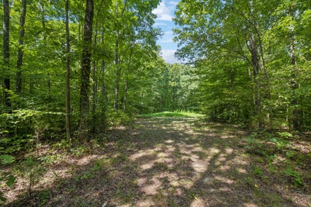 99 Acre Dream Property in Leipers Fork Tennessee Community - image 31