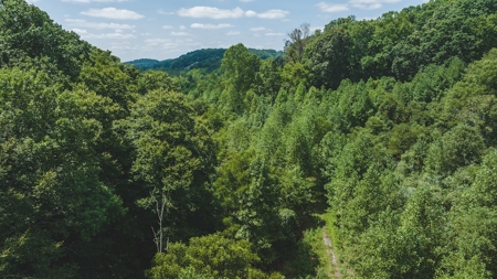 Large Land Tract for Sale in Bristol VA - image 36