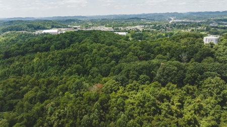 Large Land Tract for Sale in Bristol VA - image 40