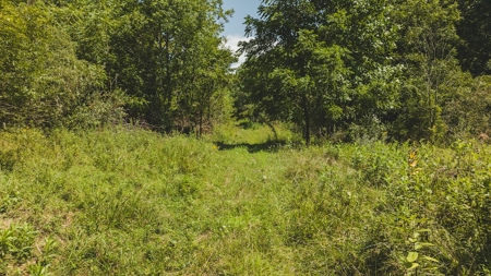 Large Land Tract for Sale in Bristol VA - image 25