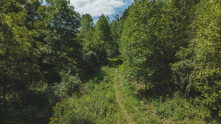 Large Land Tract for Sale in Bristol VA - image 37