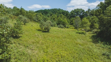 Large Land Tract for Sale in Bristol VA - image 31