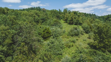 Large Land Tract for Sale in Bristol VA - image 32