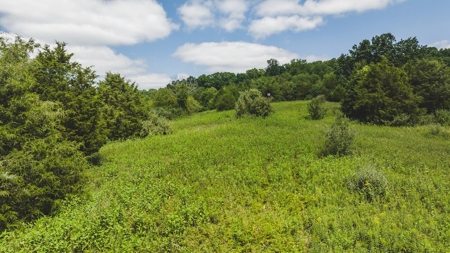Large Land Tract for Sale in Bristol VA - image 15
