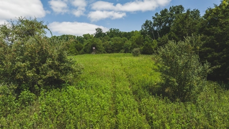 Large Land Tract for Sale in Bristol VA - image 16