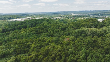 Large Land Tract for Sale in Bristol VA - image 39