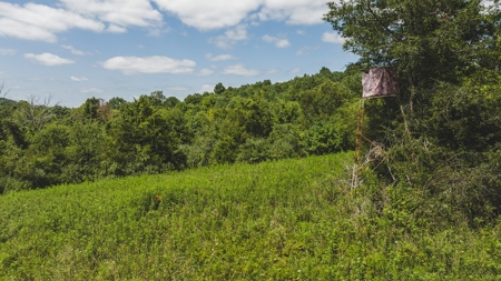Large Land Tract for Sale in Bristol VA - image 17