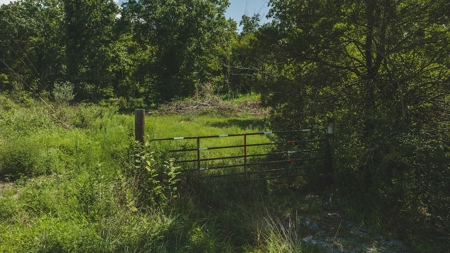 Large Land Tract for Sale in Bristol VA - image 3