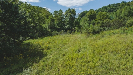 Large Land Tract for Sale in Bristol VA - image 33