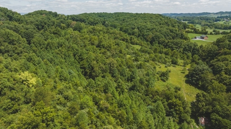 Large Land Tract for Sale in Bristol VA - image 27