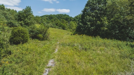Large Land Tract for Sale in Bristol VA - image 34