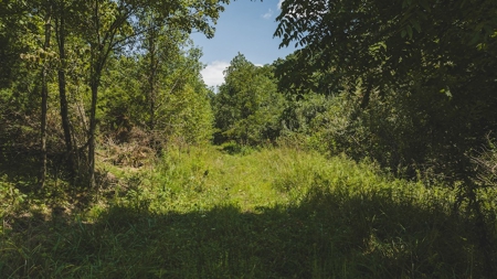 Large Land Tract for Sale in Bristol VA - image 26
