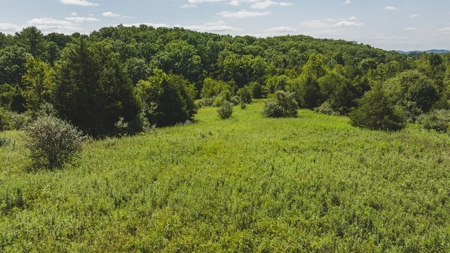 Large Land Tract for Sale in Bristol VA - image 19