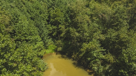 Large Land Tract for Sale in Bristol VA - image 28