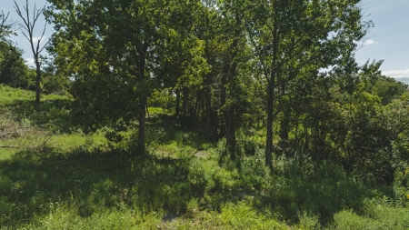 Large Land Tract for Sale in Bristol VA - image 1