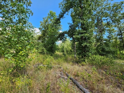 80 Acre Kiamichi Mountain Homestead Property - FOR SALE - image 26
