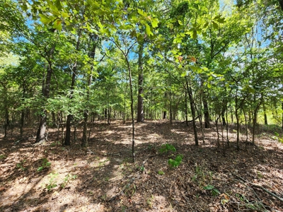 80 Acre Kiamichi Mountain Homestead Property - FOR SALE - image 11