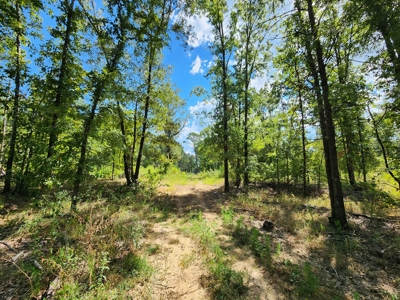 80 Acre Kiamichi Mountain Homestead Property - FOR SALE - image 24