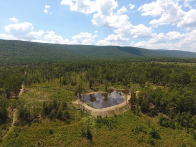 80 Acre Kiamichi Mountain Homestead Property - FOR SALE - image 27