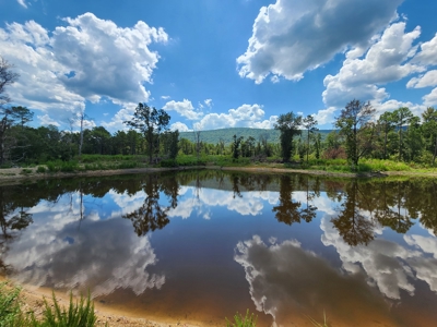 80 Acre Kiamichi Mountain Homestead Property - FOR SALE - image 1