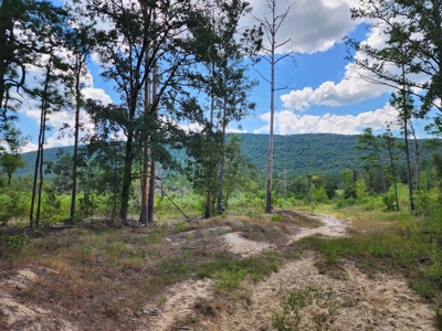 80 Acre Kiamichi Mountain Homestead Property - FOR SALE - image 20