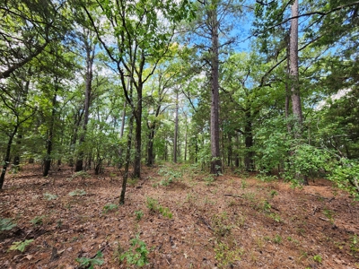 80 Acre Kiamichi Mountain Homestead Property - FOR SALE - image 6