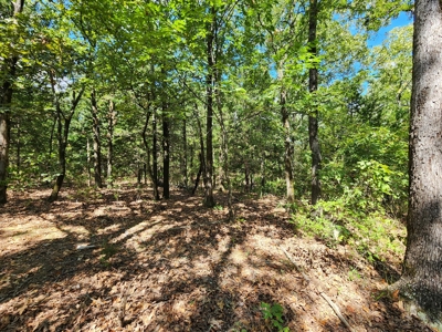 80 Acre Kiamichi Mountain Homestead Property - FOR SALE - image 14