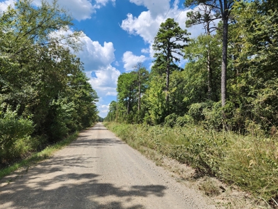 80 Acre Kiamichi Mountain Homestead Property - FOR SALE - image 2
