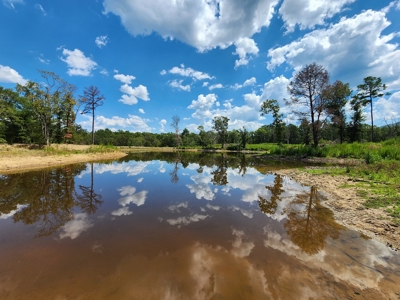 80 Acre Kiamichi Mountain Homestead Property - FOR SALE - image 16