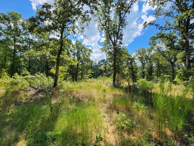 80 Acre Kiamichi Mountain Homestead Property - FOR SALE - image 25