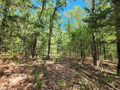 80 Acre Kiamichi Mountain Homestead Property - FOR SALE - image 12