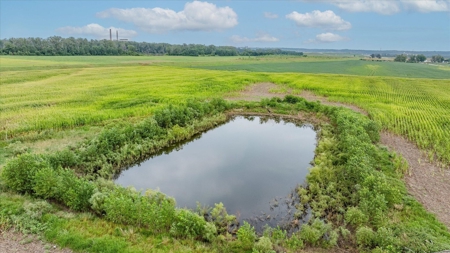 Farmland Near Council Bluffs IA - image 4