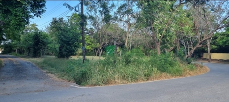 Lot on main road, near the sea in Nueva Gorgona - image 8