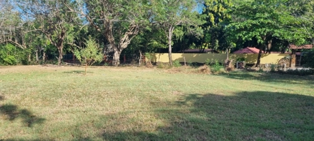 Lot on main road, near the sea in Nueva Gorgona - image 4