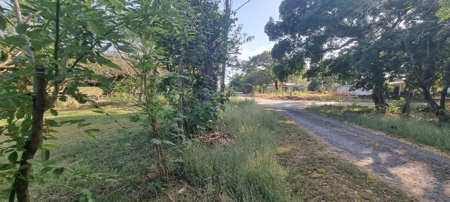 Lot on main road, near the sea in Nueva Gorgona - image 2