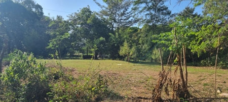 Lot on main road, near the sea in Nueva Gorgona - image 7