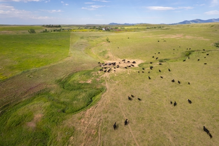 Belt Butte Ranch - image 10