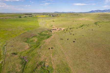 Belt Butte Ranch - image 9