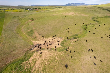 Belt Butte Ranch - image 11