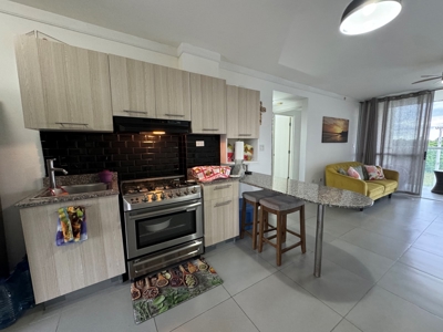 Apartment Carenero PH Las Islas, Punta Barco *Under Contract* - image 2