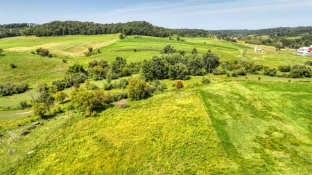 Expansive Amish Farmstead with Trout Stream Jackson County - image 29