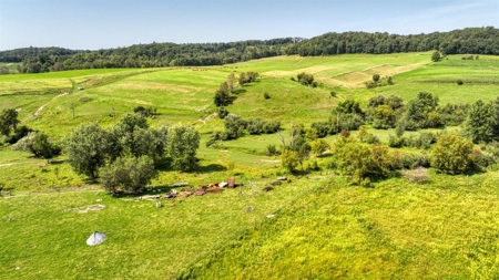 Expansive Amish Farmstead with Trout Stream Jackson County - image 28