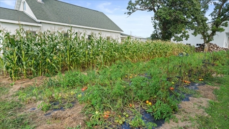 Expansive Amish Farmstead with Trout Stream Jackson County - image 11