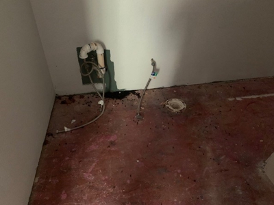 Mountain Springwater Fed Homestead - image 15