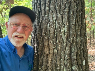 Mountain Springwater Fed Homestead - image 19