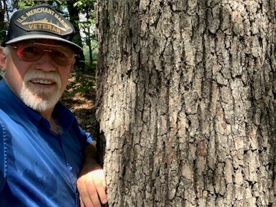 Mountain Springwater Fed Homestead - image 20