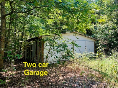 Mountain Springwater Fed Homestead - image 4