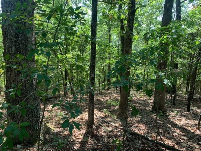 Mountain Springwater Fed Homestead - image 23